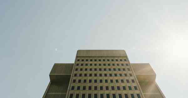 佛跳墙vqn最新版